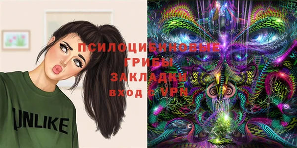 МДПВ Сатка
