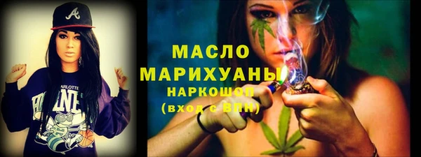 индика Пестово