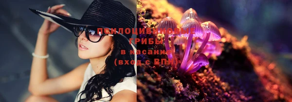 Альфа ПВП Саяногорск