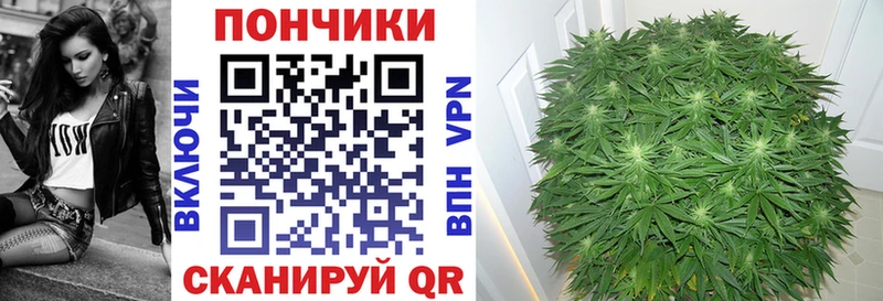 MEGA вход  Далматово  Каннабис план 